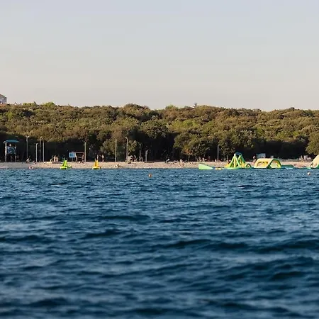 Pace E Salute * 바르바리가