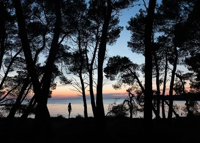 Pace E Salute * Barbariga