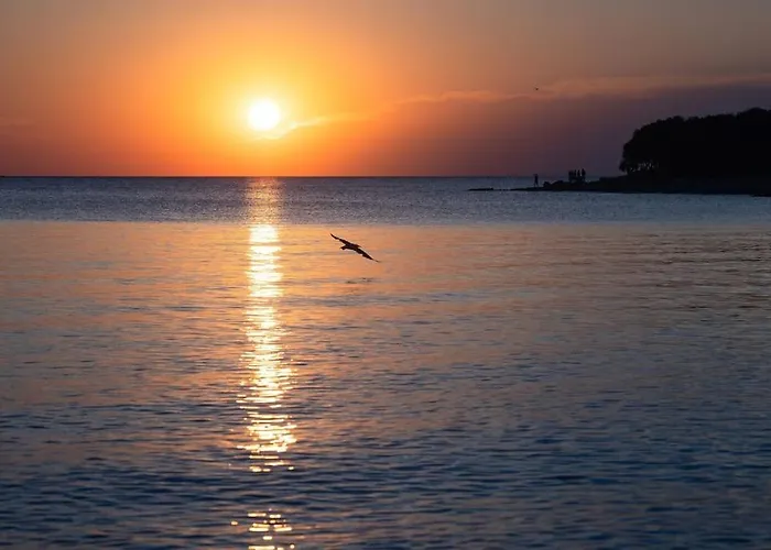 Pace E Salute 바르바리가