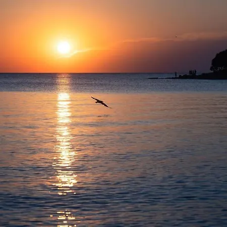 Pace E Salute Barbariga